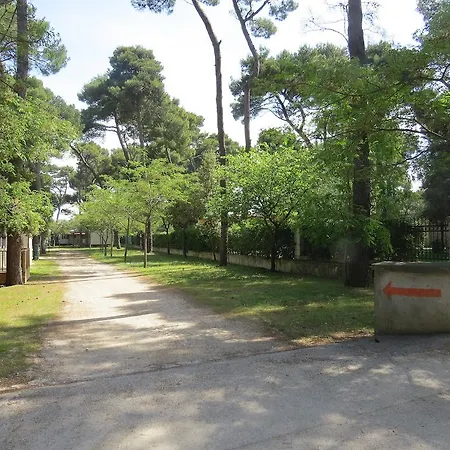 Mia & Mobile 3* Biograd Na Moru